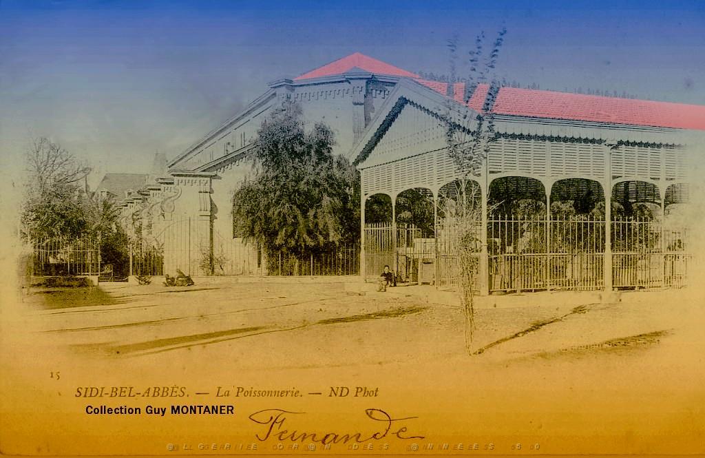 SIDI BEL ABBES 015  C MONTANER_2.jpg